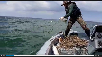 PMA apreende 2 mil metros de redes de pesca ilegais e solta 20 kg de pescado no rio em Anaurilândia
