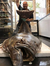 Pescador bate recorde com 'monstro' de 2,7 metros e 134 quilos e o vende por R$ 14,5 mil