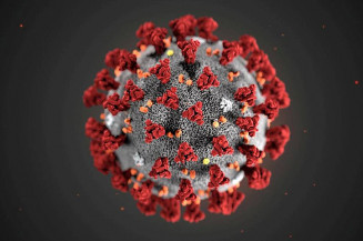 Origem do coronavírus: o que os cientistas descobriram até agora e a possibilidade do vírus ser de laboratório
