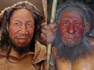Sapien (à esquerda) e um neandertal (à direita). REPRODUÇÃO/WIKIMEDIA COMMONS/DANIELA HITZEMANN/STEFAN SCHEER