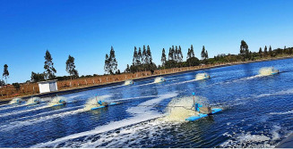 Sanesul aumenta cobertura de esgotamento em Paranhos