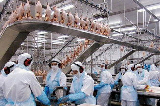 Semana inicia com 1.120 oportunidades em todo MS