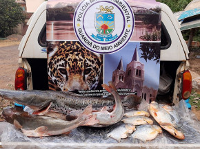 Preso pela 5ª vez por pesca ilegal, homem é flagrado novamente em estrada vicinal de MS com 71 peixes