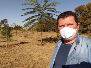 Limpeza e manutenção de bosque é realizada após solicitação do vereador Olavo Sul