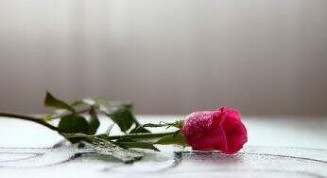 Oração de Santo Agostinho acalma corações enlutados