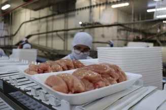 Nova cota do México para importação de carne de frango deve beneficiar o MS