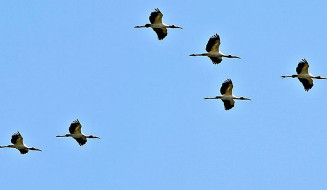 Temperaturas em elevação e umidade do ar em queda