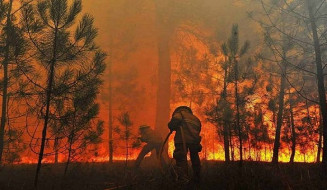 Ações da Operação Prolepse de prevenção e combate aos incêndios são intensificadas