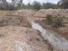 PMA autua sitiante em R$ 12,8 mil por degradação de nascente e exploração de madeira em áreas protegidas