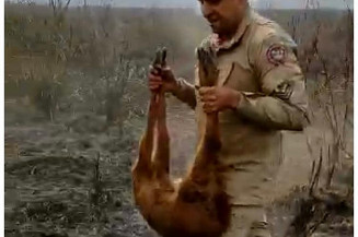 Em meio à pior seca dos últimos 40 anos, avanço do fogo ameaça região de Bonito