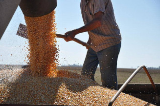 Com milho e soja, Brasil lidera mercado Internacional de grãos
