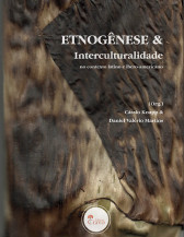 Mestrandos em Educação e Territorialidade da UFGD são autores de livro internacional