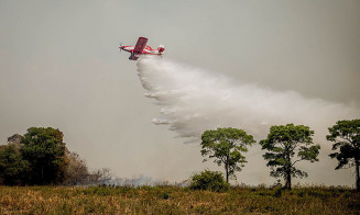 Estiagem: Mato Grosso do Sul reforça as ações para prevenir incêndios