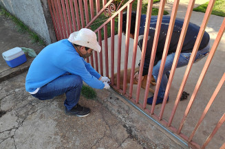 CCZ inicia campanha de vacinação antirrábica em Dourados