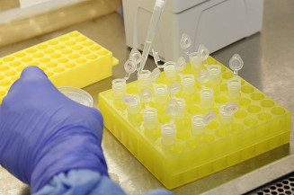 Butantan confirma mais 28 amostras da variante delta no estado de São Paulo