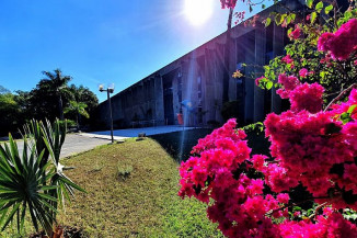 Assembleia Legislativa celebra Dia da Educação Superior com sessão virtual