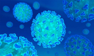 Brasil tem 278 mortes por Covid em 24 horas, menor número desde dezembro