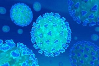 Brasil tem 278 mortes por Covid em 24 horas, menor número desde dezembro