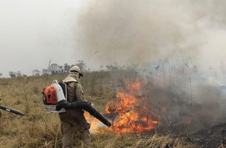 Chegada da chuva no Pantanal elimina os focos de calor