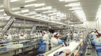 MS continua entre as menores taxas de desemprego do país