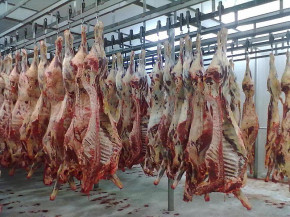 Carne bovina: mesmo com ausência da China, exportações do Brasil crescem 31%