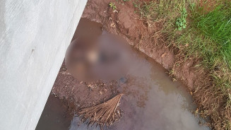 Corpo de mulher é encontrado em córrego de Campo Grande