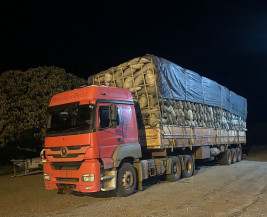 Ambiental autua infrator em R$ 33 mil por transporte de carvão ilegal