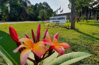 ALEMS alerta para diagnóstico precoce do câncer de mama
