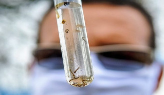 MS lança Campanha de Enfrentamento à Dengue, Zika e Chikungunya