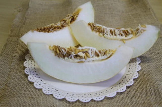 Nova cultivar de melão é mais produtiva, resistente a fungo e frio