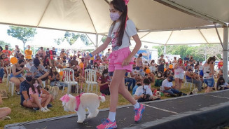 PET em Família terá concurso para cãozinho e distribuição de prêmios