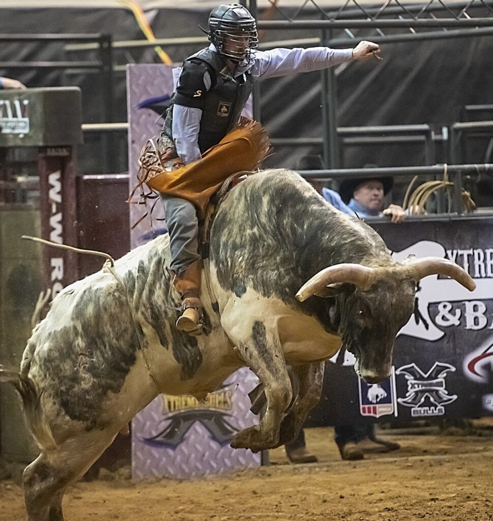 Festa do Peão de Boiadeiro de Dourados começa na semana que vem com shows e  rodeios