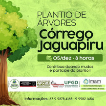 Imam apoia ação de plantio de mudas nativas nas margens do Córrego Jaguapiru