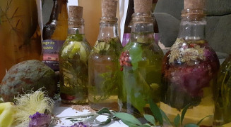 Vinhos e vinagres: Agroecologia e Sustentabilidade-Recuperação Ambiental