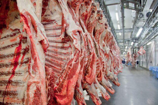 Brasil abre novos mercados para carne bovina, lácteos e material genético