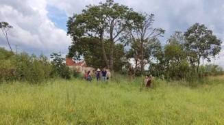 Idosa que desapareceu enquanto ia ao mercado é encontrada morta
