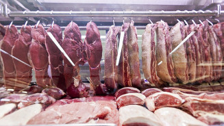 Carne bovina: exportações do Brasil fecham 2021 com alta de 9% em receita