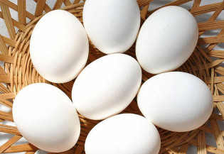 Exportações de ovos crescem 81,5% em 2021, diz ABPA