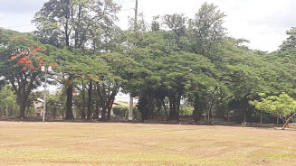 Prefeitura realiza limpeza, manutenção e reforma de parques de Dourados