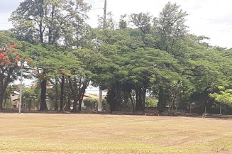 Prefeitura realiza limpeza, manutenção e reforma de parques de Dourados