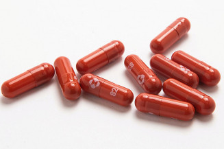 Foto: Merck & CO Inc/REUTERS