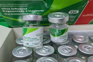 MS recebe primeira remessa com 88 mil doses de vacina contra a Influenza