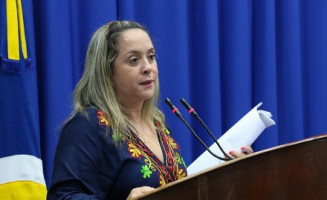 Lia Nogueira apresenta na Câmara nota de repúdio de pais de alunos da Reme