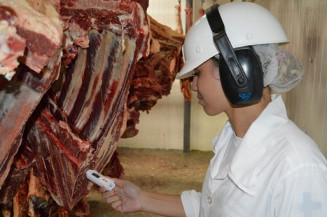 Prefeitura de Nova Andradina abre processo seletivo para agentes de serviço de saúde