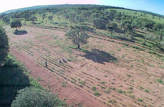Propriedade no Assentamento Guanabara tem área degradada recuperada