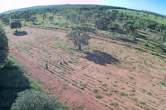 Propriedade no Assentamento Guanabara tem área degradada recuperada