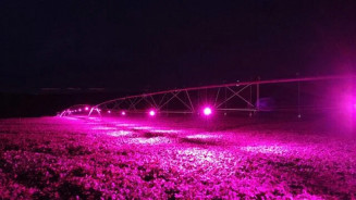 Uso de iluminação artificial na lavoura pode aumentar produtividade