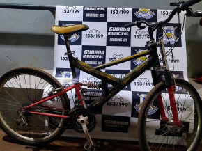 Guarda Municipal já recuperou 22 veículos furtados em Dourados