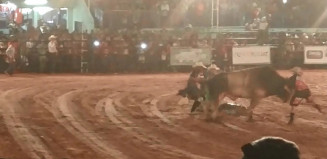 Peão do noroeste paulista morre pisoteado por touro em rodeio; vídeo