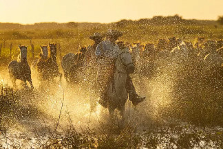 Sabores de 'Pantanal': novela dá luz à cozinha regional